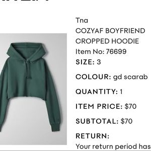 Aritzia green cropped hoodie